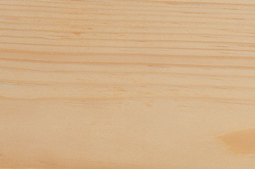 Eastern White Pine